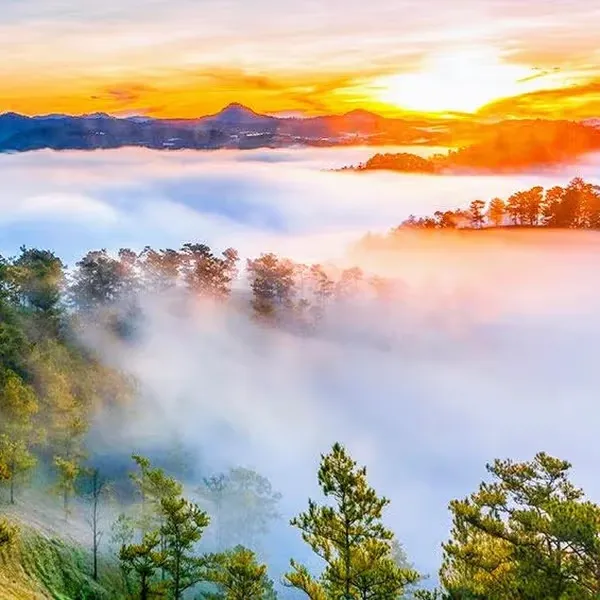 Mia Mai's story chapter: PART 4: MOUNTAIN HOME